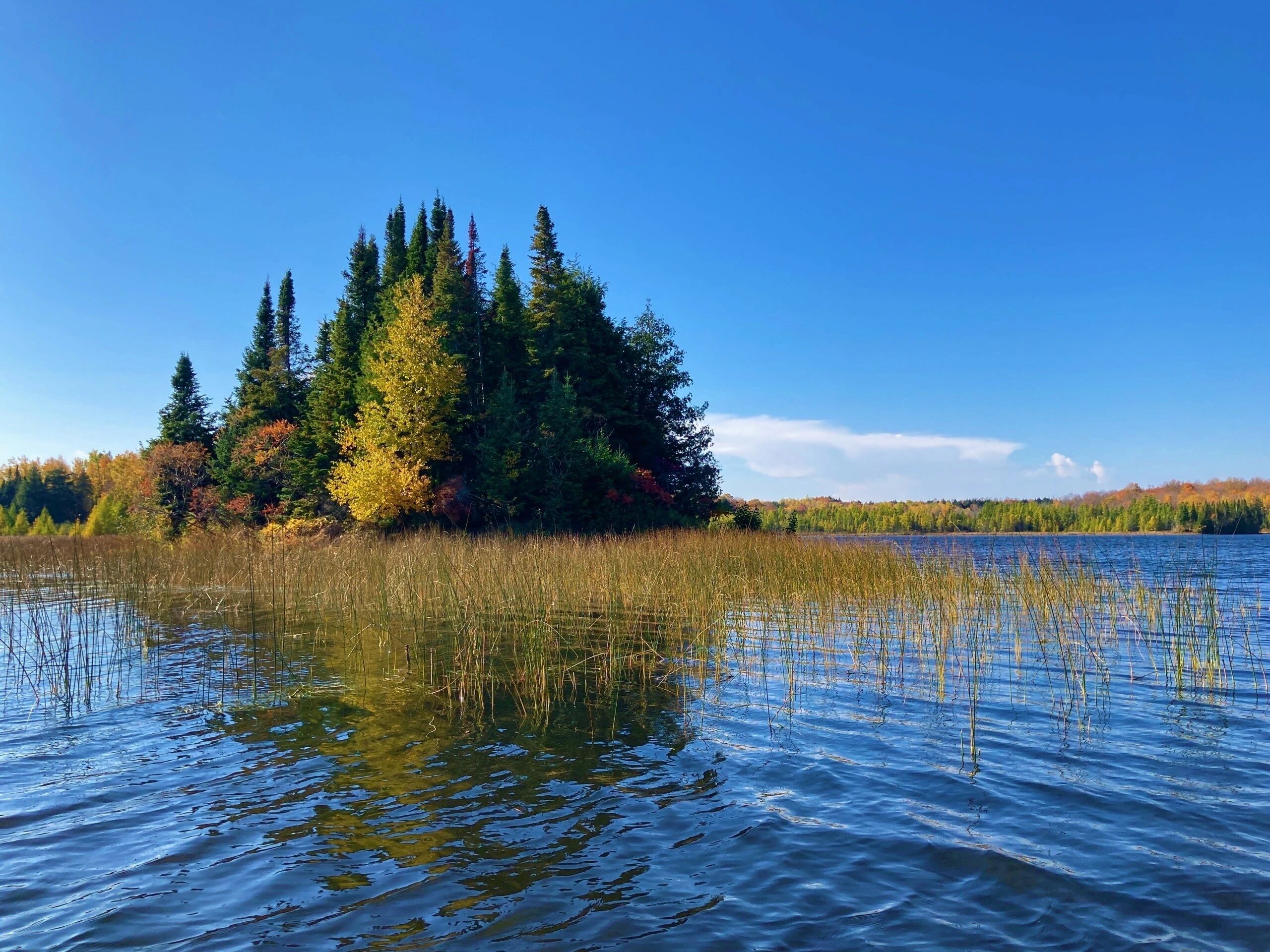 Autumn lake reflection with forested shoreline