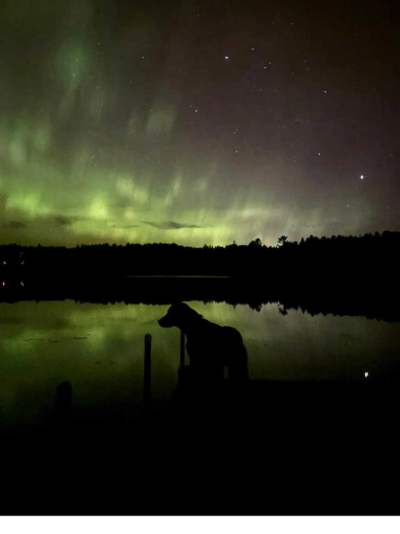 Aurora borealis reflected on Squash Lake with dog silhouette on dock