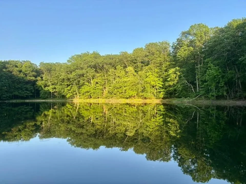 Squash Lake island with summer forest reflection